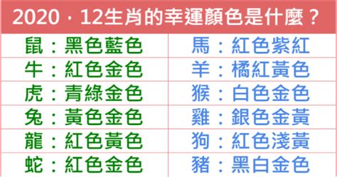 蛇的幸運顏色|2024屬蛇幾歲、2024屬蛇運勢、幸運色、財位、禁忌